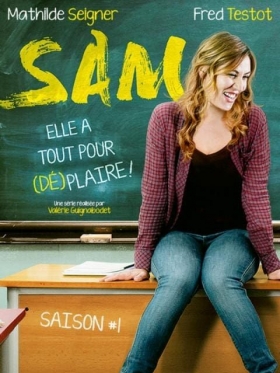 《法国TF1电视剧/Sam》第一季6集全（法语发音+无字幕）---[售价:80法郎]